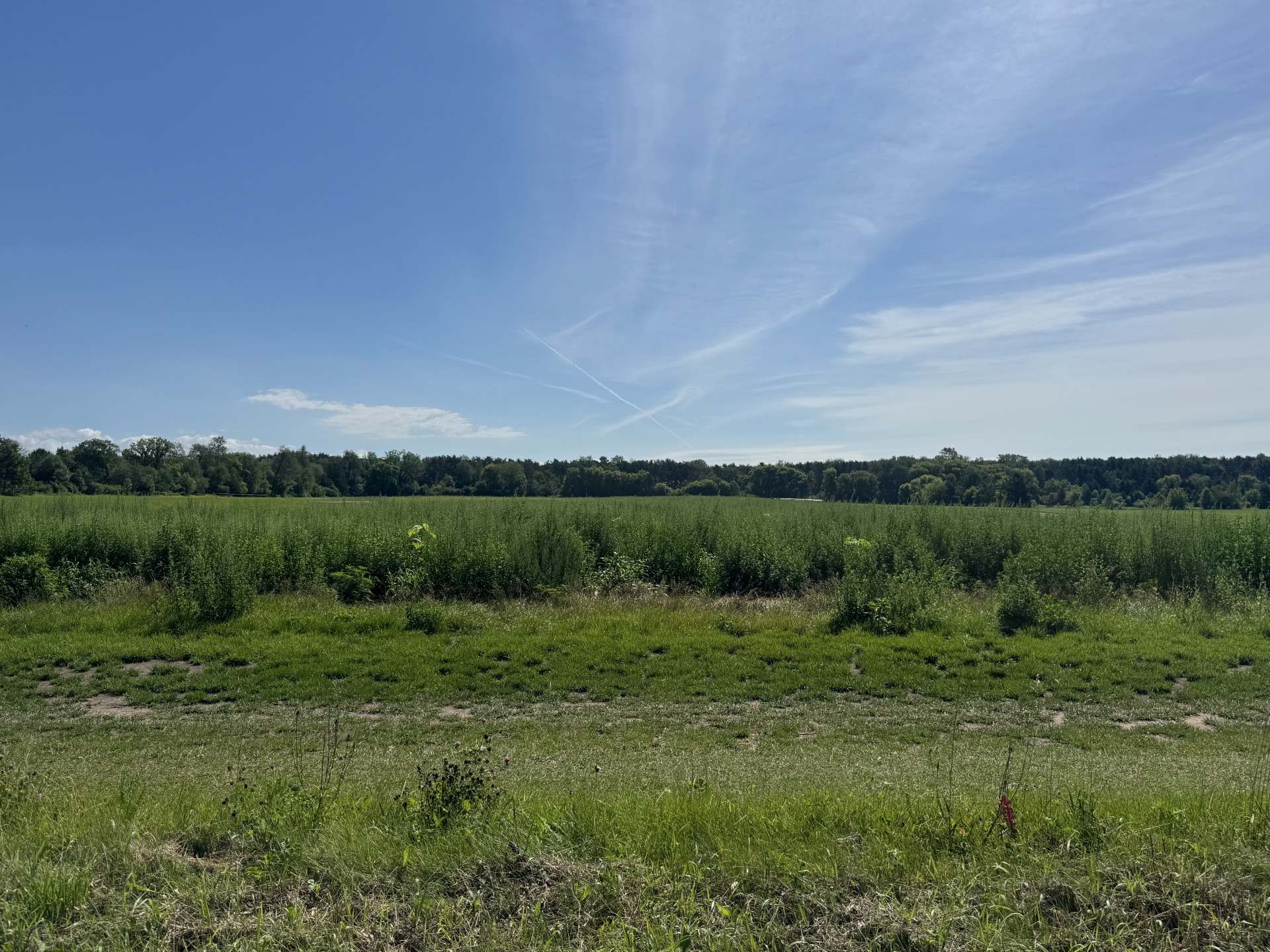 Mogren Farms Parcel B 15.19 Acres